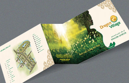 Brochure of Dragon Village project